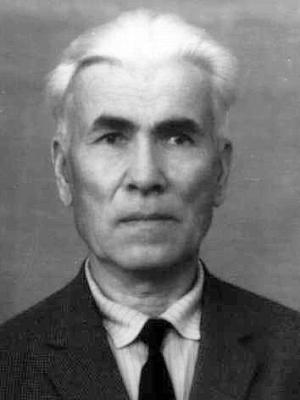 Васильев Георгий Васильевич Васильев Георгий Васильевич
